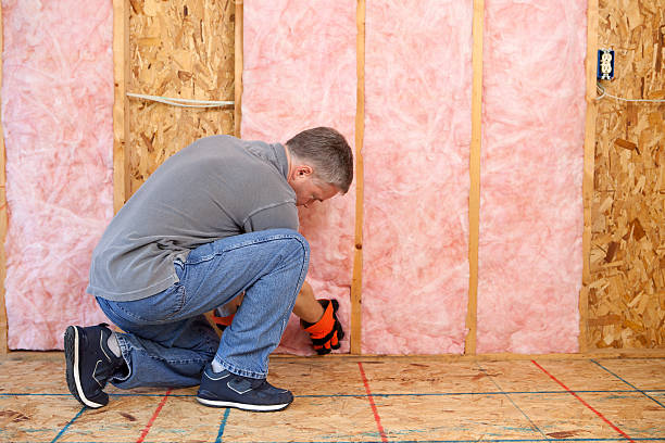 Best Insulation Maintenance and Repair in Gretna, VA
